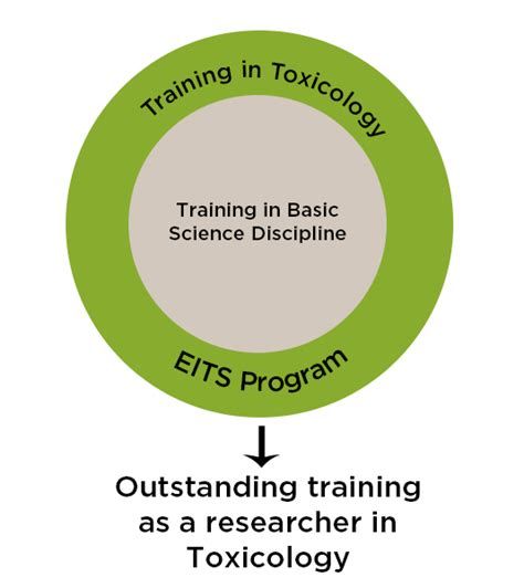 eits program msu.